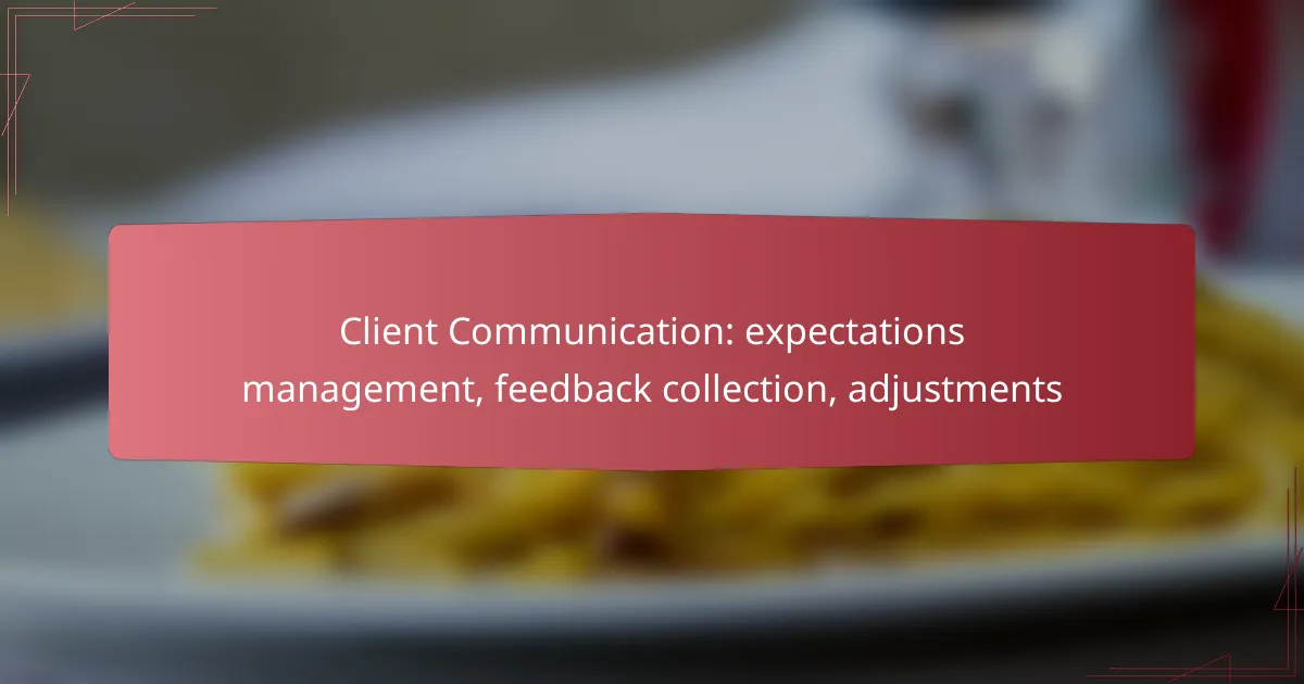 Client Communication: expectations management, feedback collection, adjustments