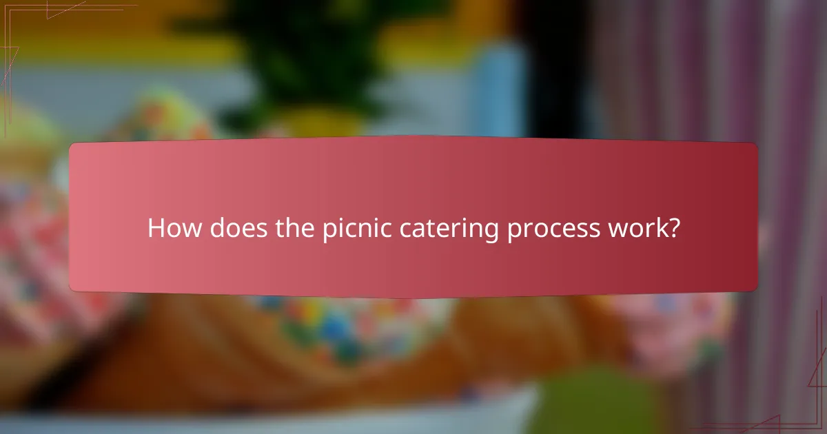 How does the picnic catering process work?